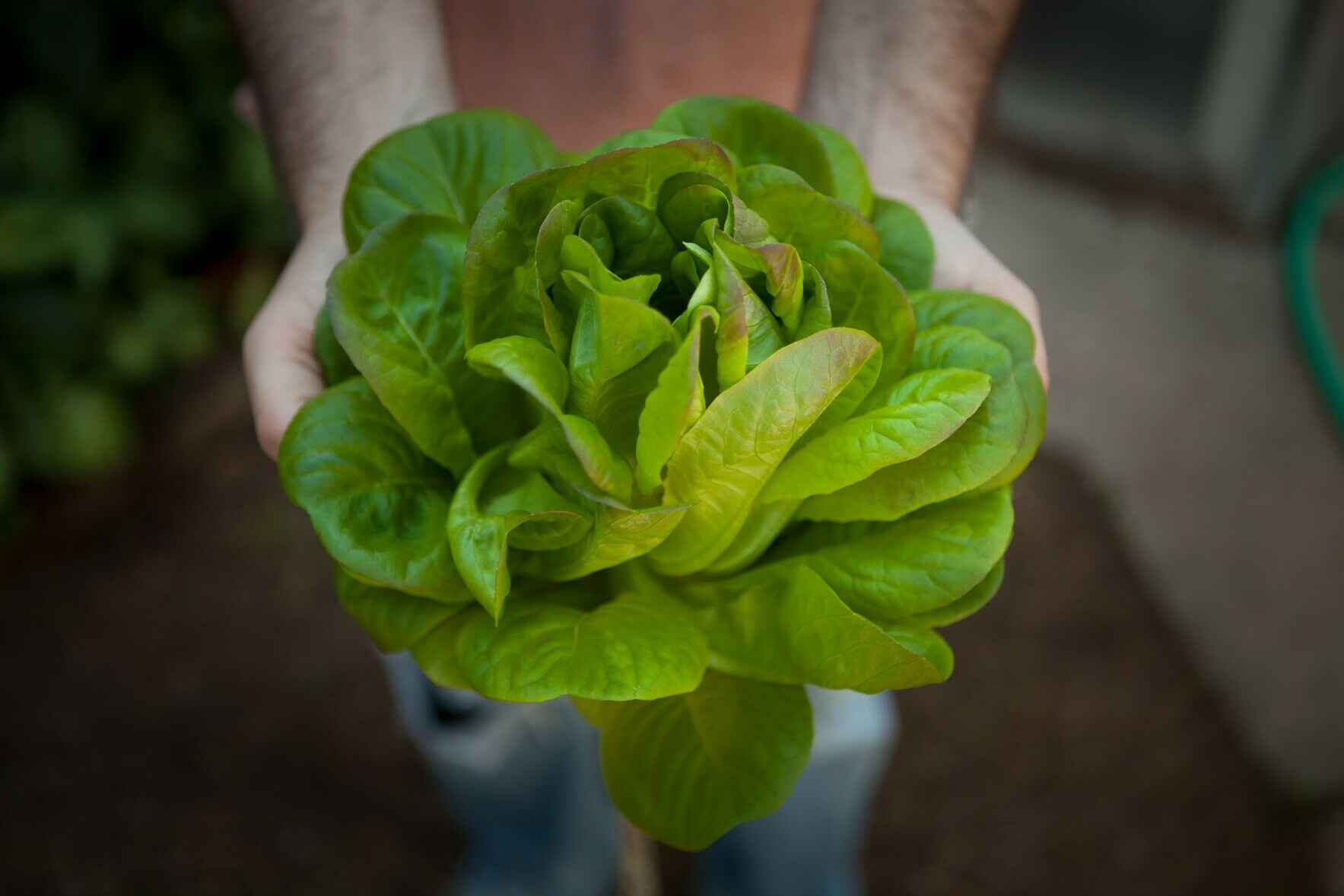 Farmers Market Tours image