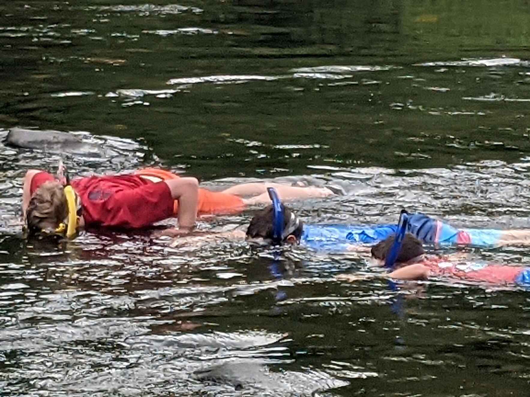 Freshwater Snorkeling image