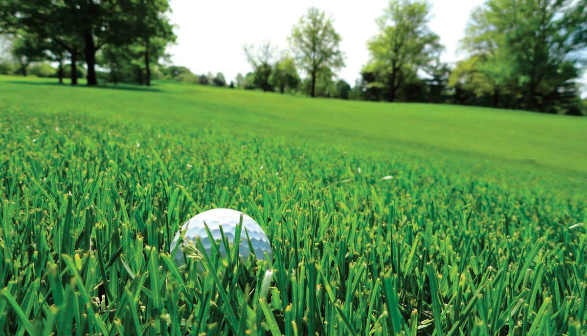 Chip In For Dyslexia Classic at Hillview Country Club  image