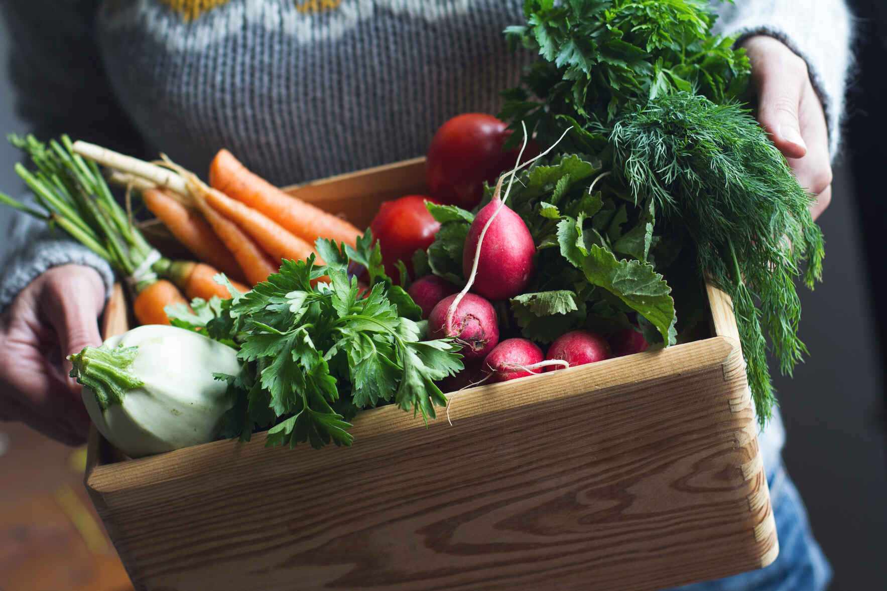 BÁSICOS DEL CULTIVO DE VEGETALES ORGÁNICOS - ESPAÑOL image