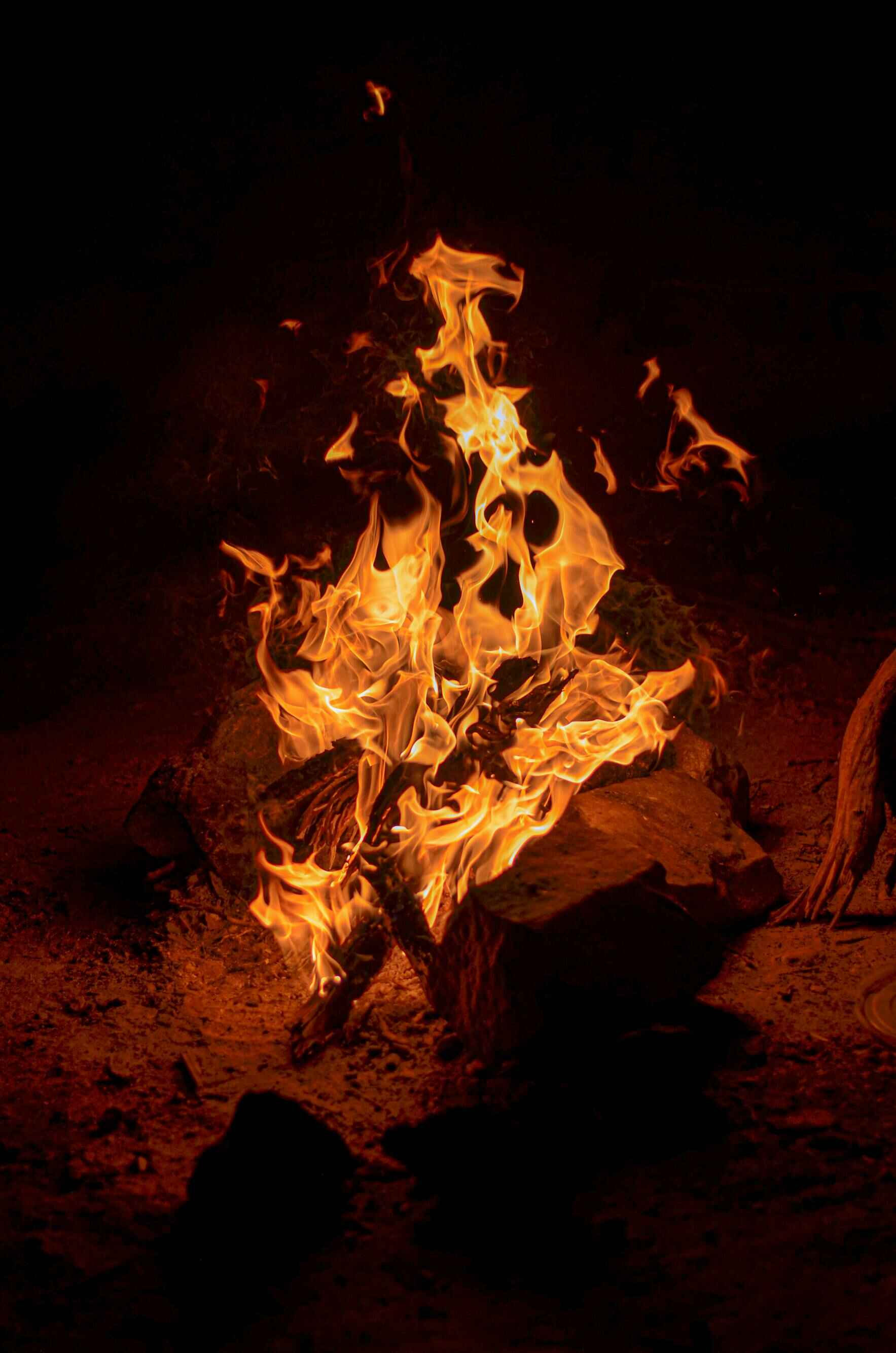 Look into the Fire | Sacred Circle with Dawna Hammers image