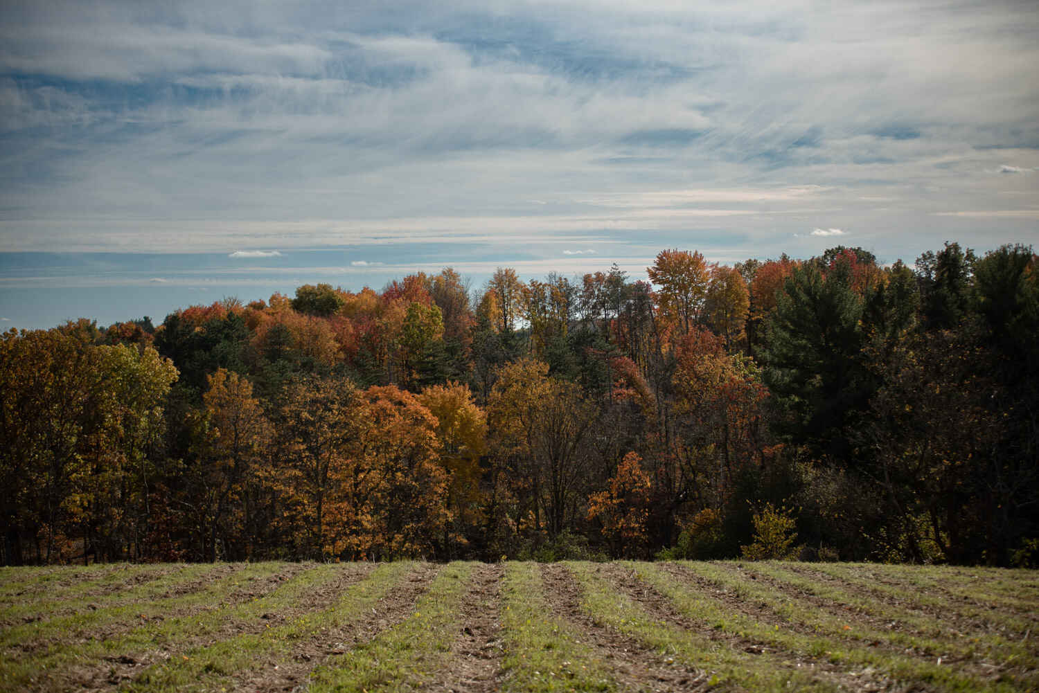 Public Information Session: Northwest Allegheny Project image