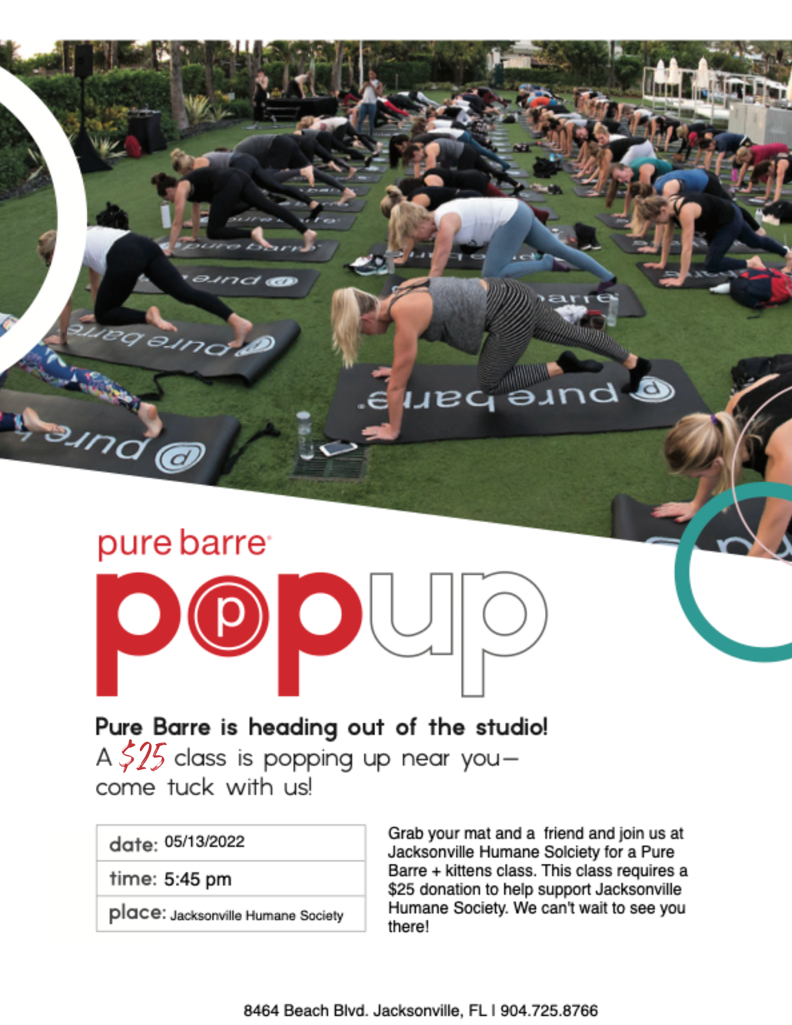 Kittens + Pure Barre (Pop Up Event) image