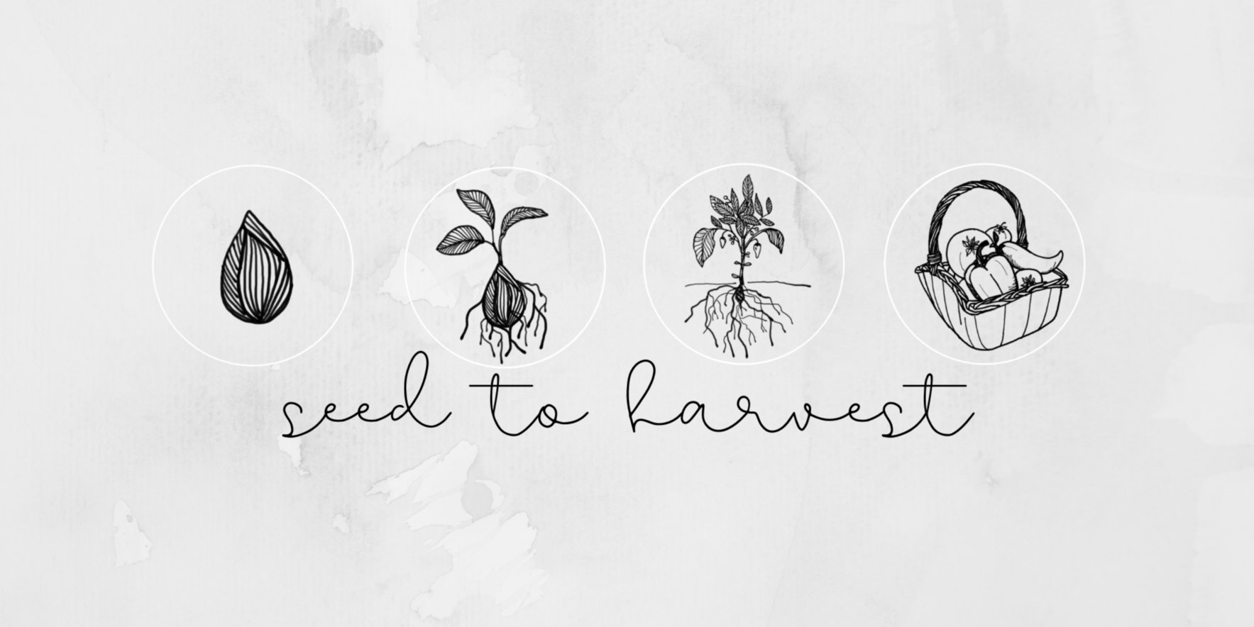 LOVEtheLOU (Seed to Harvest Gathering) image