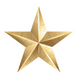 Gold Star Tribute $500 image