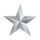 Silver Star Tribute image