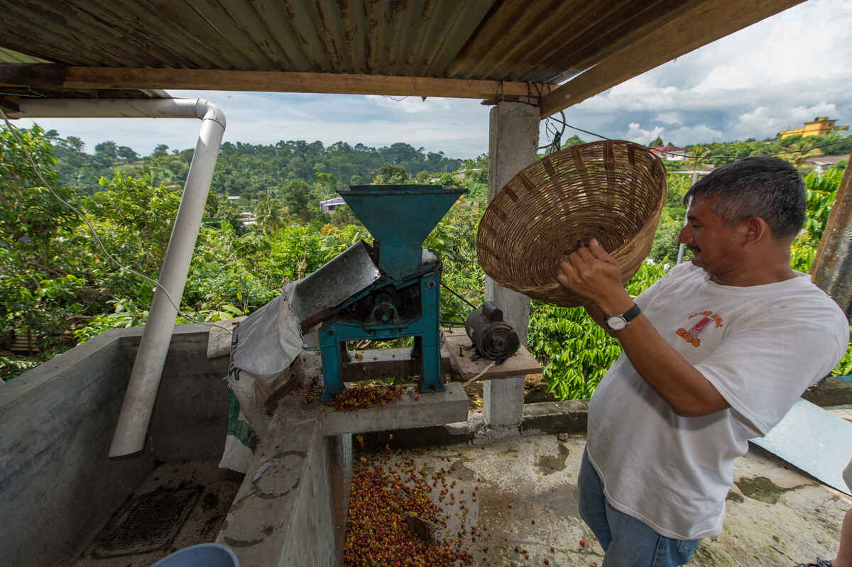 Coffee and Compassion (see details below photo) image