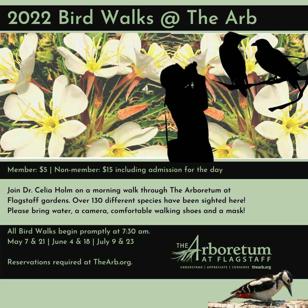 Member Tickets July 23, 2022, Bird Walks @ The Arb image