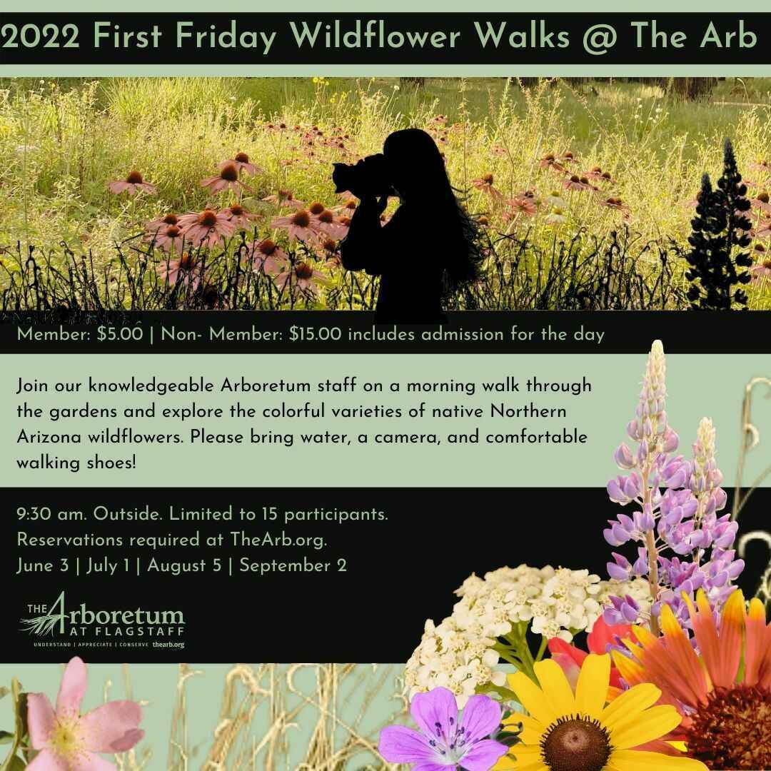 Non-Member Tickets September 2, 2022 Wildflower Walks image