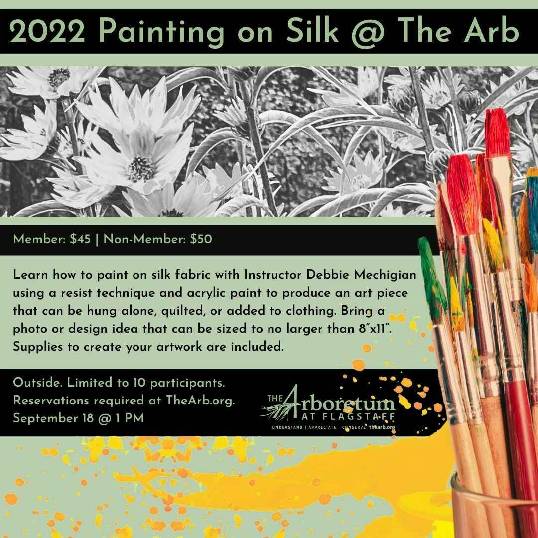 Non-Member Tickets for Silk Painting on September 18, 2022 image