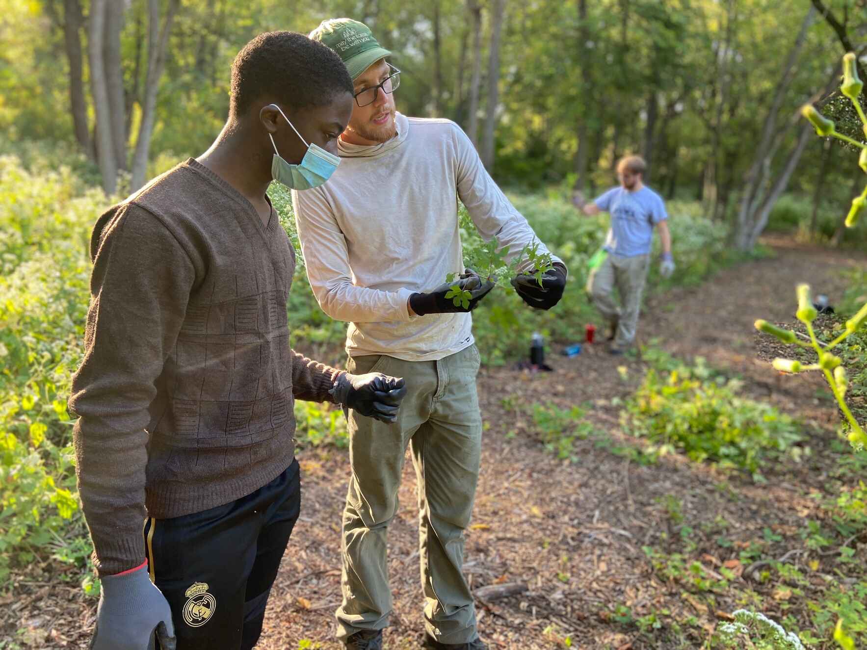 Conservation Conversations: The State of Our Forest image