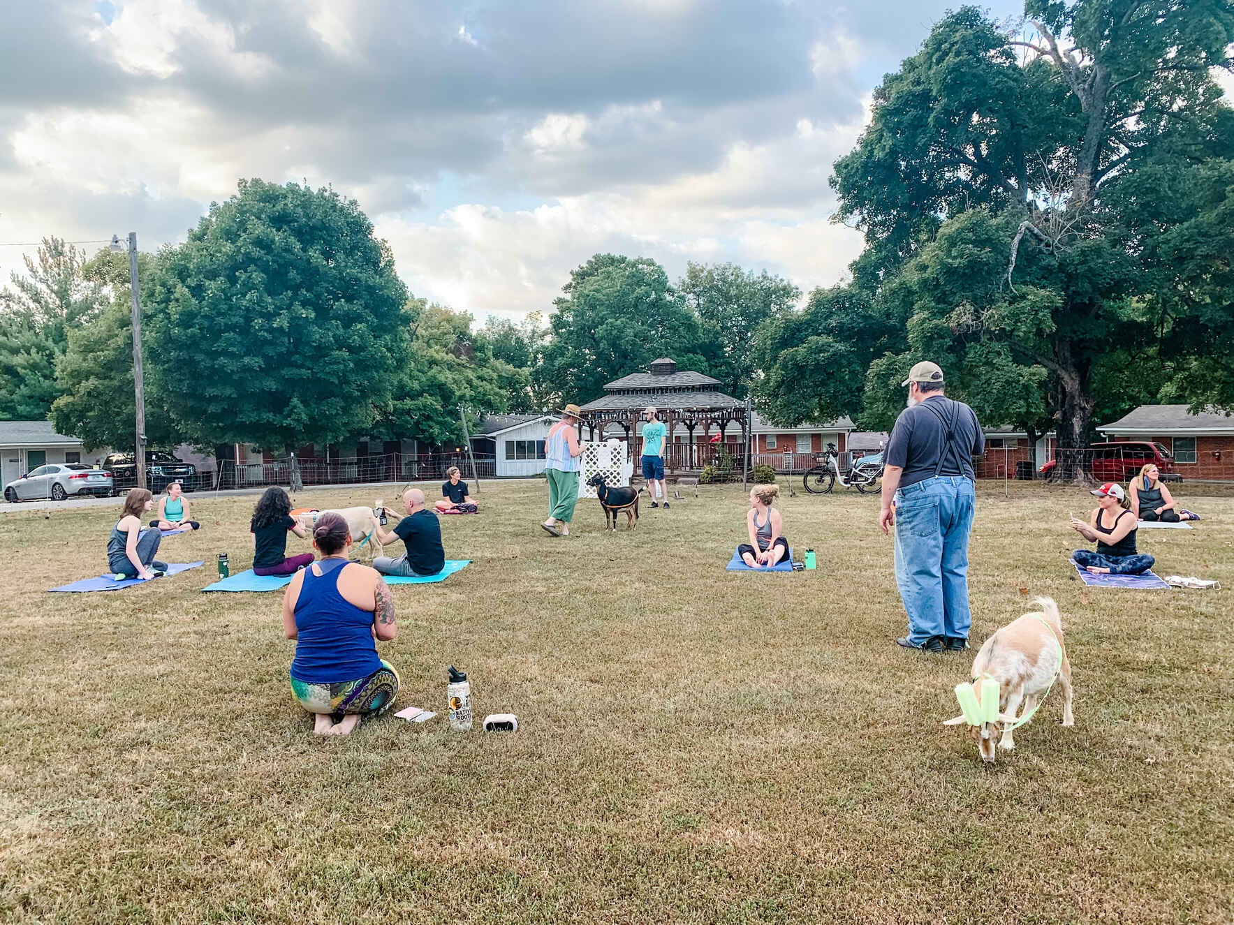 Goat Yoga at Mount Sequoyah image