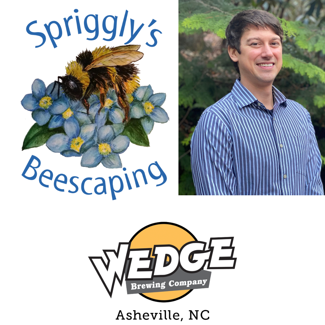 Bees & Beers Presentation at the Wedge: Native Bees & the Habitats They Require image