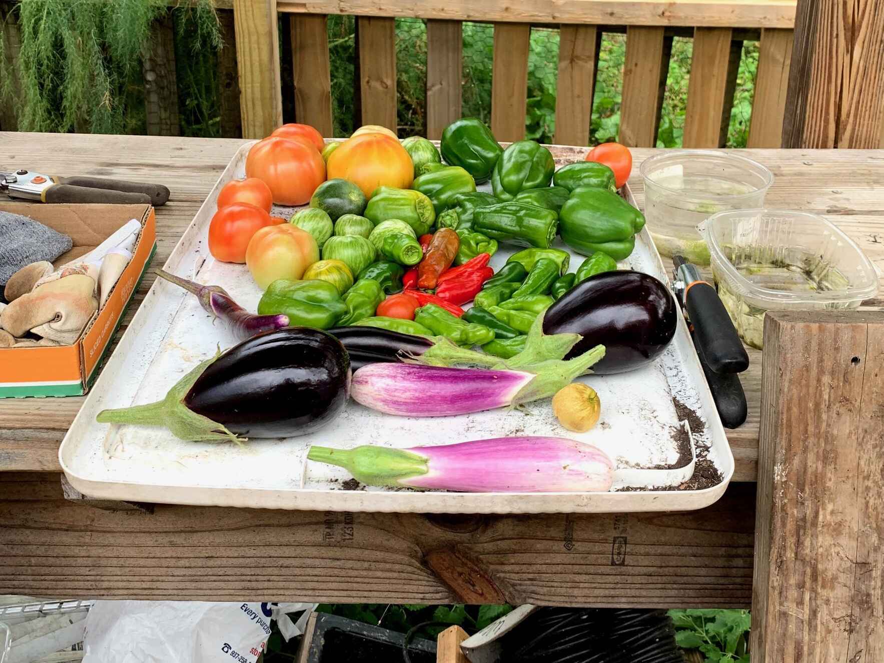 Hub Garden Cooking Class: Amberley Green image