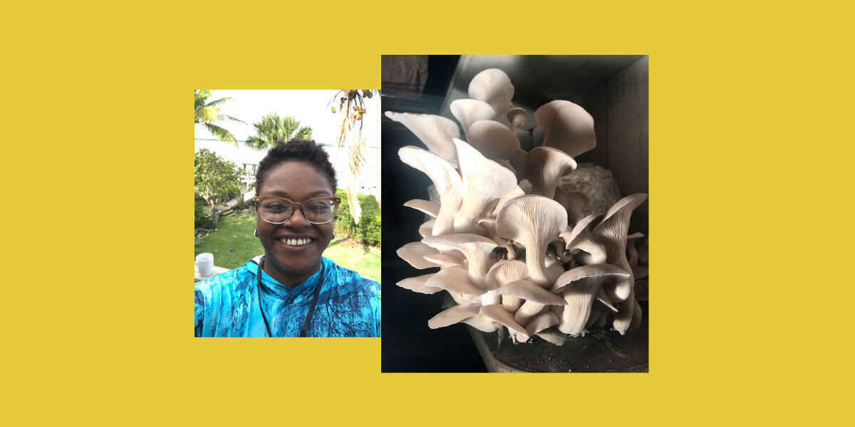Mushroom Cultivation Workshop image