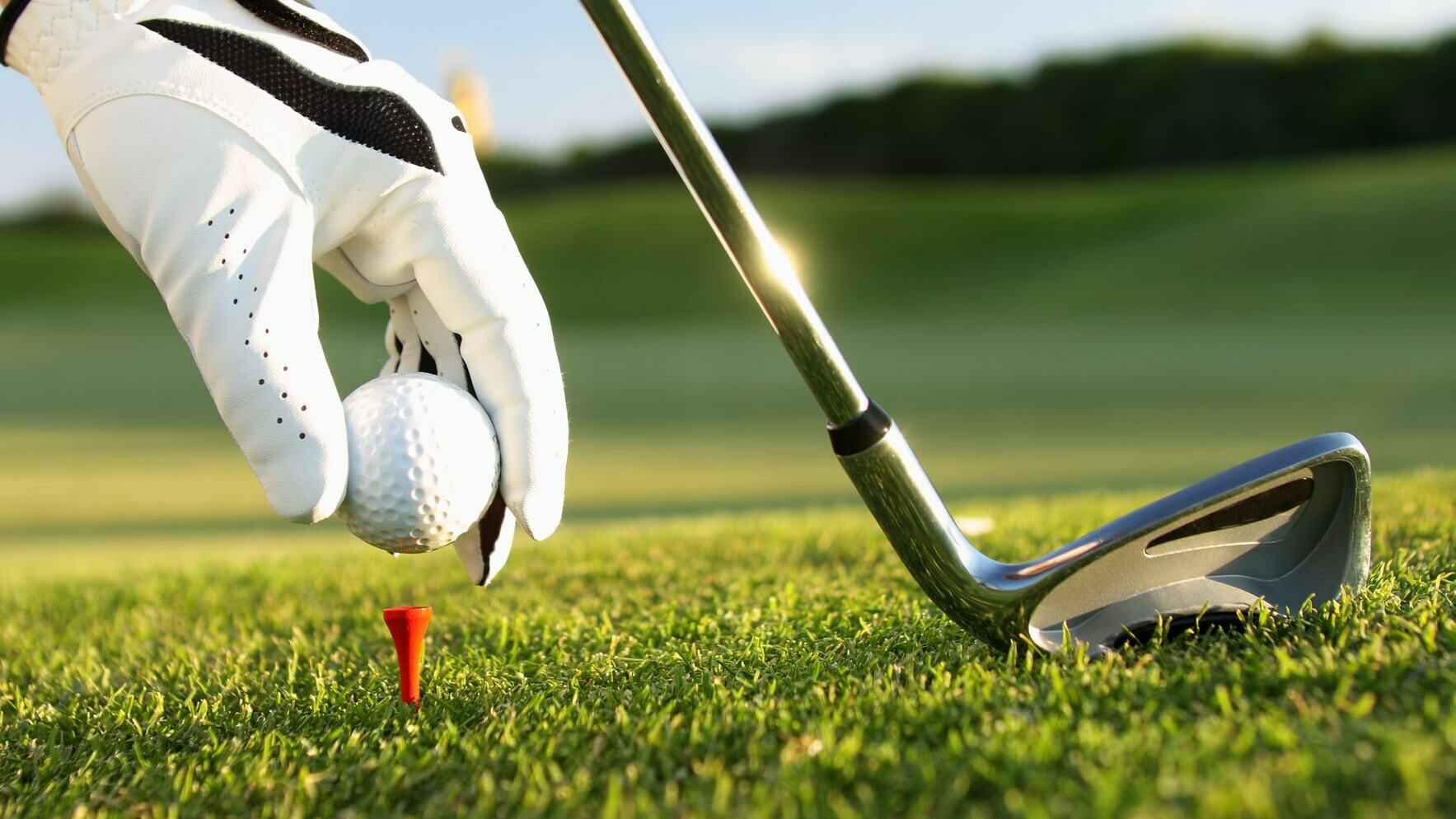 2022 Fourth Annual Montcalm County Habitat for Humanity Golf Outing image