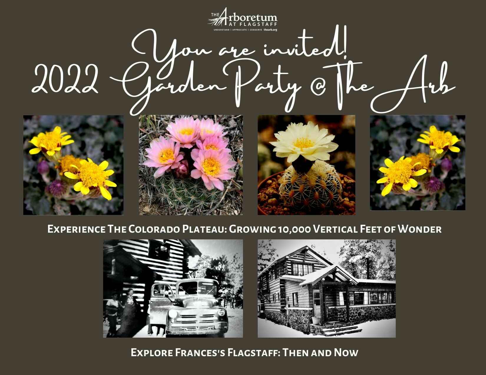 VIP Ticket: Arb 2022 Garden Party image