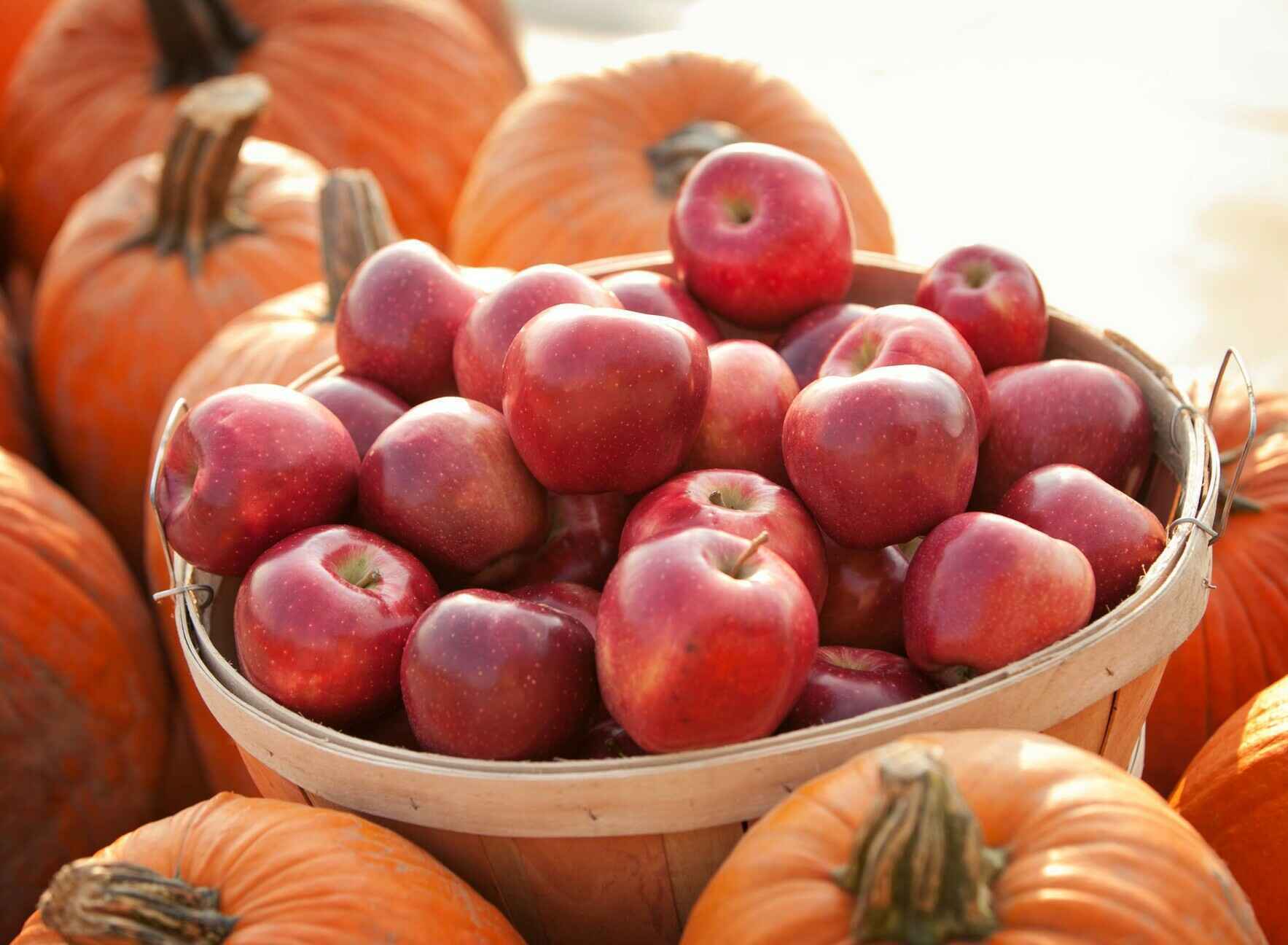 Harvest Festival image