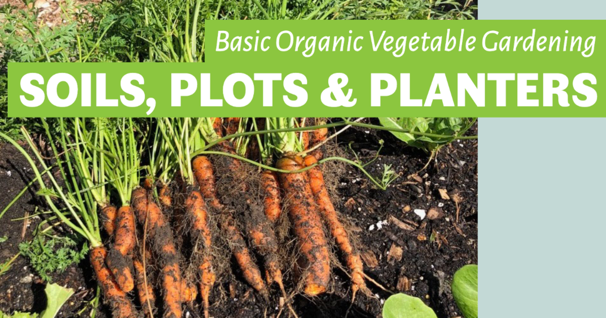 Civic Garden Center of Greater Cincinnati Basic Organic Vegetable