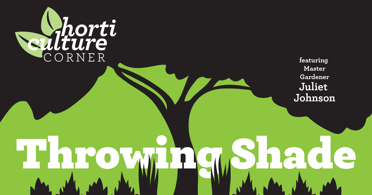 Garden Club of Jacksonville Horticulture Corner Throwing Shade