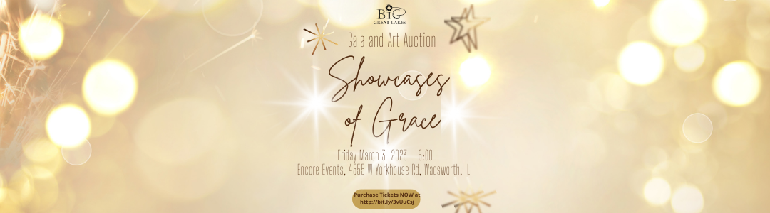 Showcases of Grace BiG Great Lakes Gala and Art Auction image