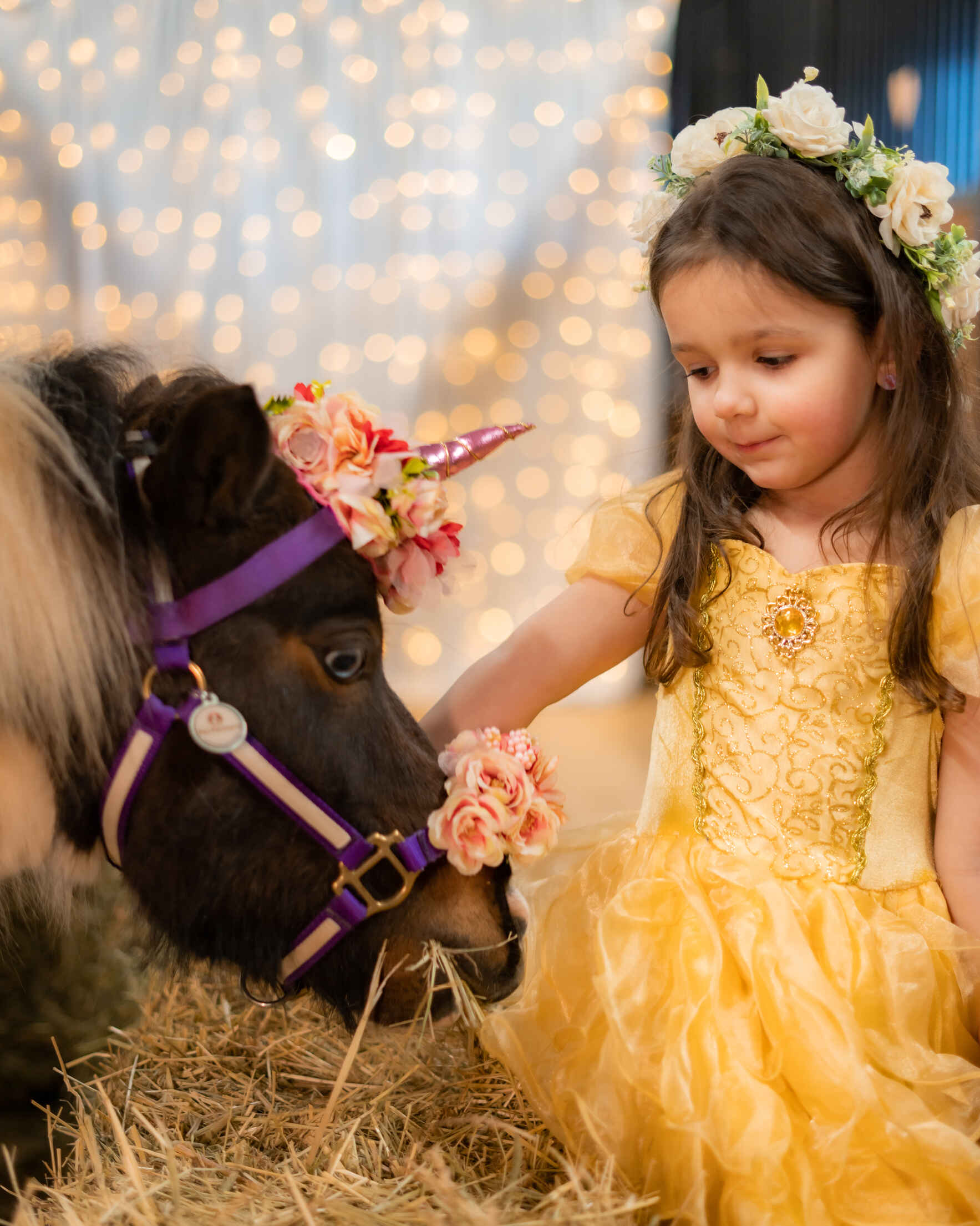 Unicorn Photoshoot image
