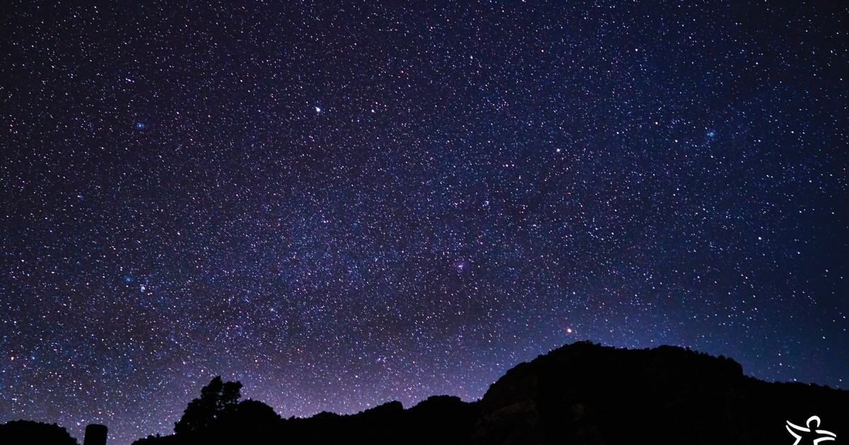 Starr Commonwealth The 2nd Annual Night of Starrs