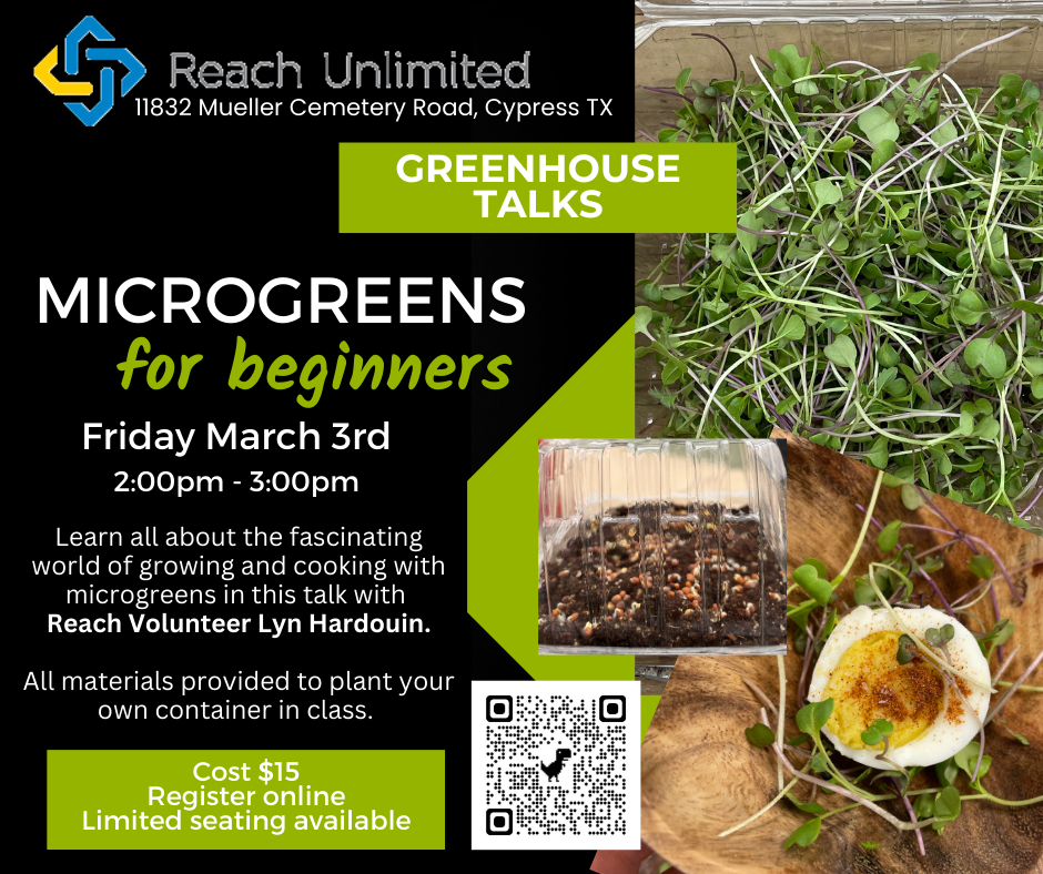 z. Greenhouse Talks: Microgreens for Beginners image