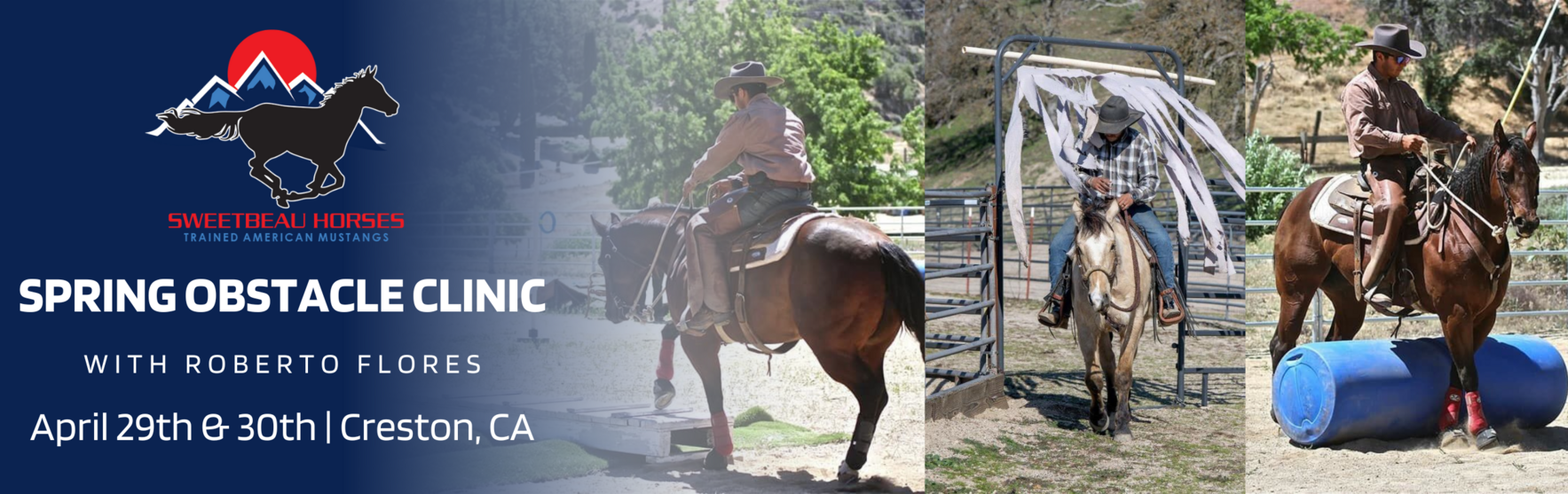 Spring Obstacle Clinic image