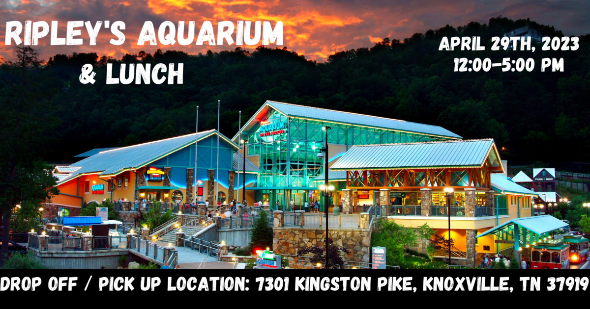 Camp Koinonia Foundation Inc NonWheelchair Tickets for Ripley's