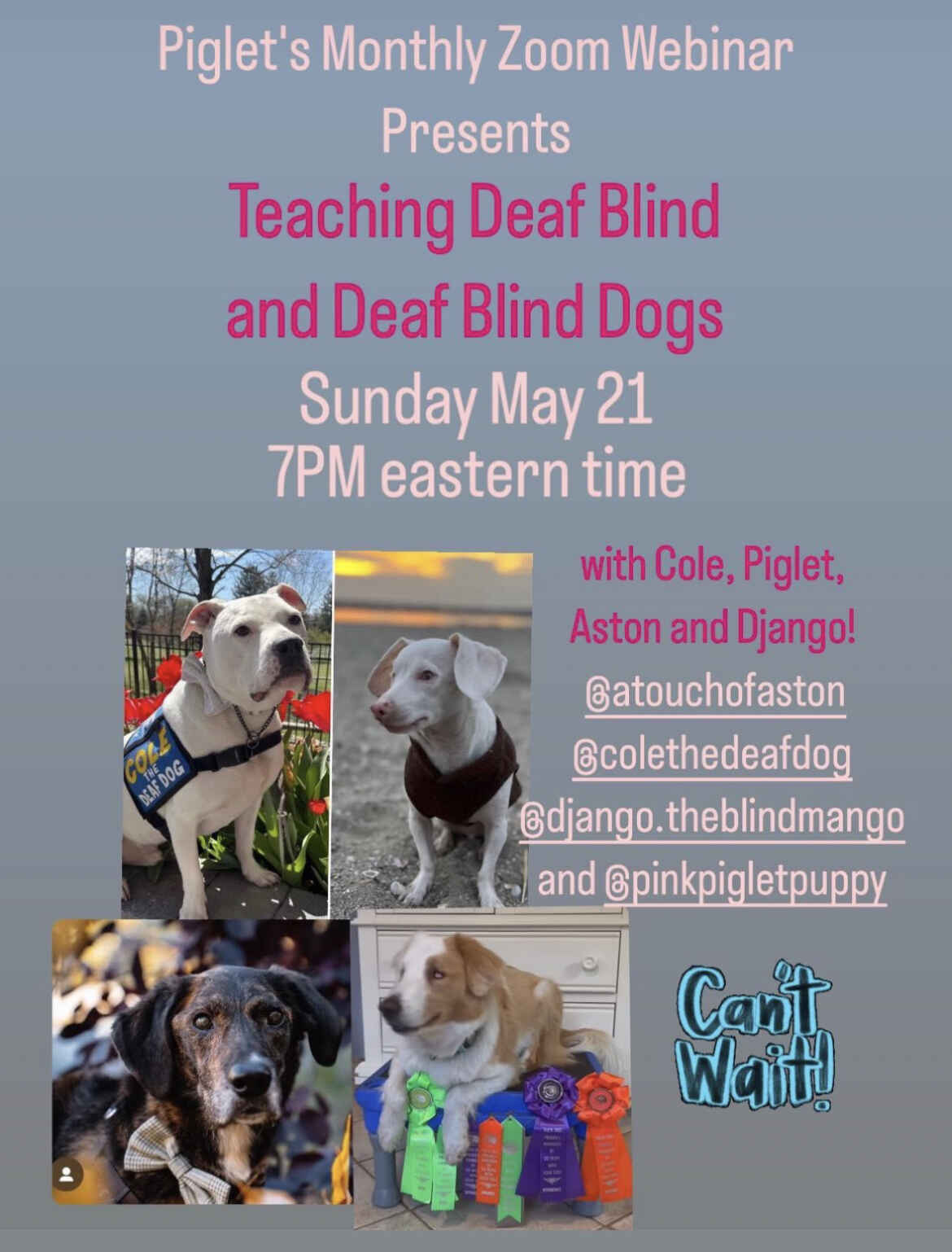 Piglet International Inc Teaching Deaf, Blind, and Deaf Blind Dogs