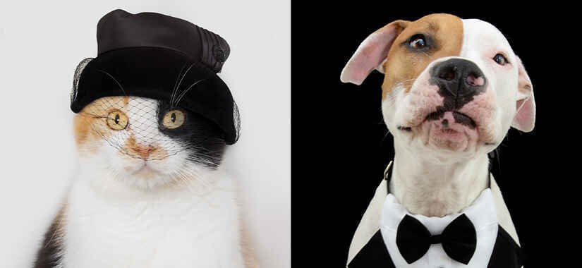 Softie Homecoming 2023 image