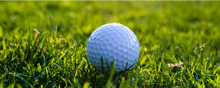 Paladin Annual Golf Outing  image