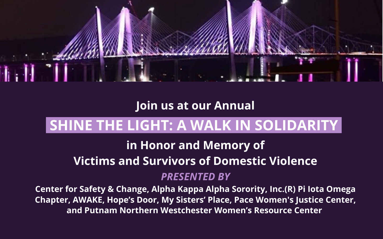 Shine the Light: A Walk in Solidarity 2023 image