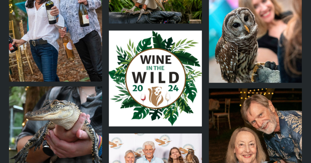 The Busch Wildlife Sanctuary Inc Wine in the Wild 2024