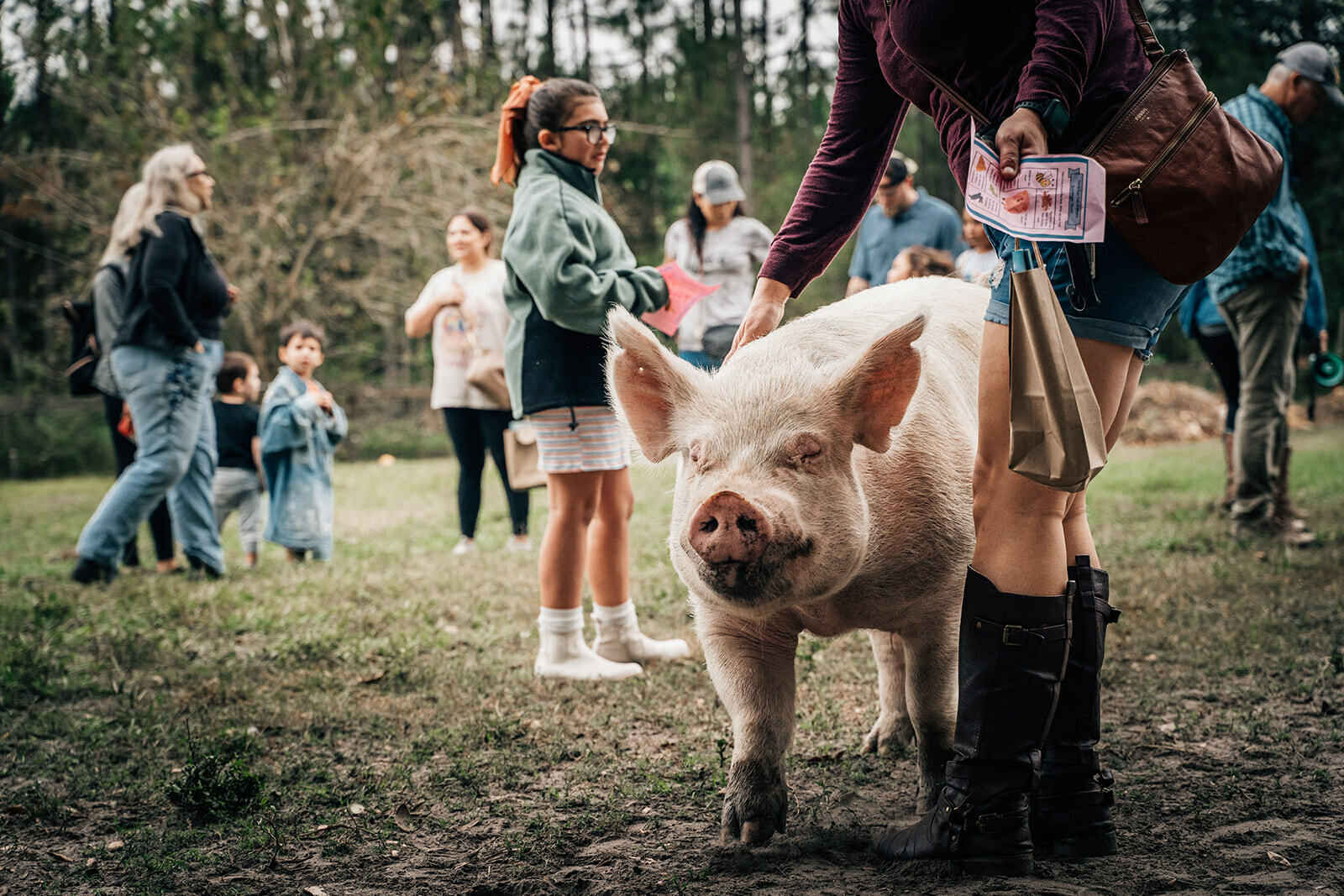 Education Farm Tour image