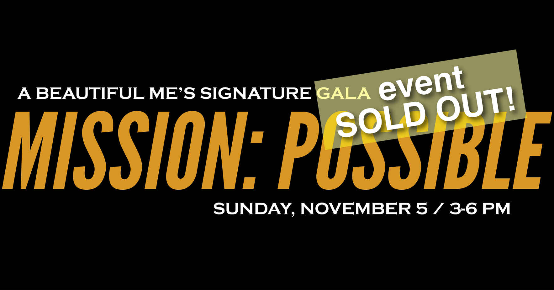 Signature Gala Fundraiser image