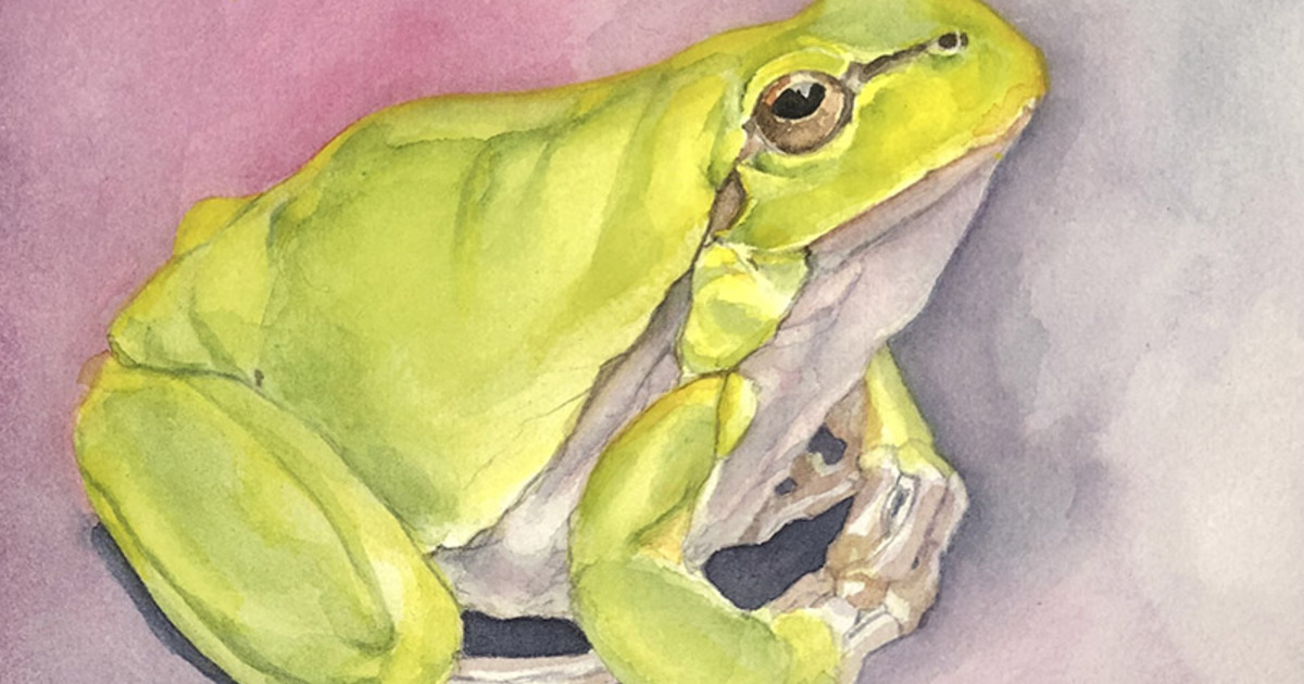 Virginia Beach Art Center Inc X 2024A1 Watercolor Painting Studio