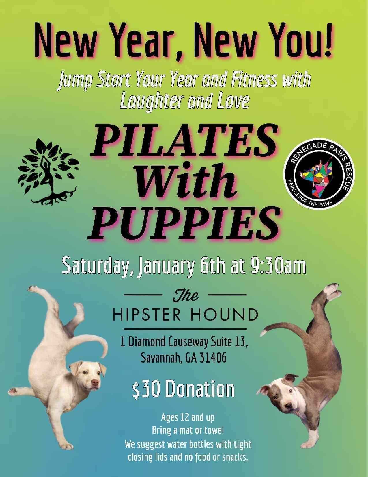 Puppy Pilates at The Hipster Hound image