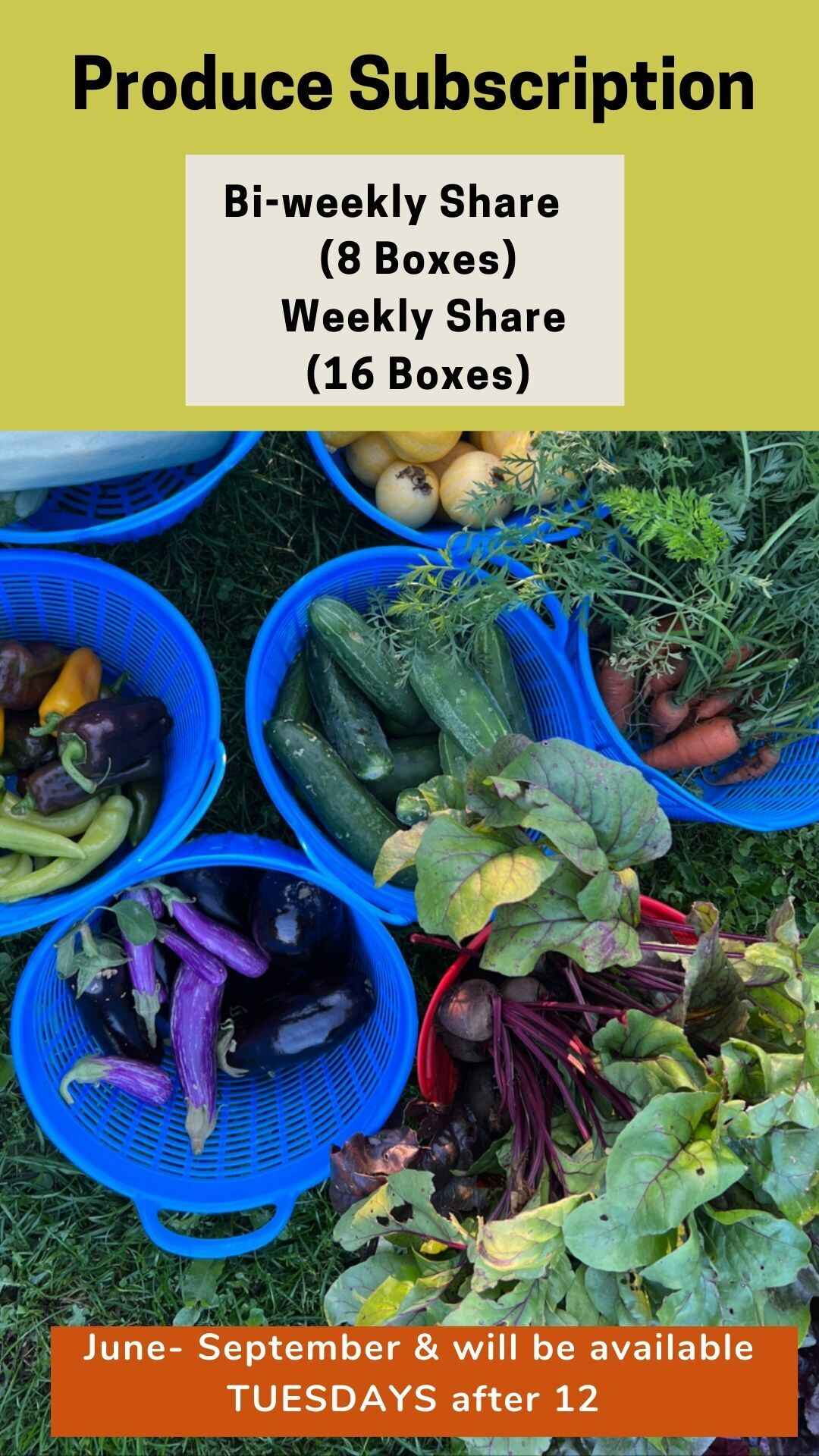 21 Roots Farm - Produce Subscription 2024