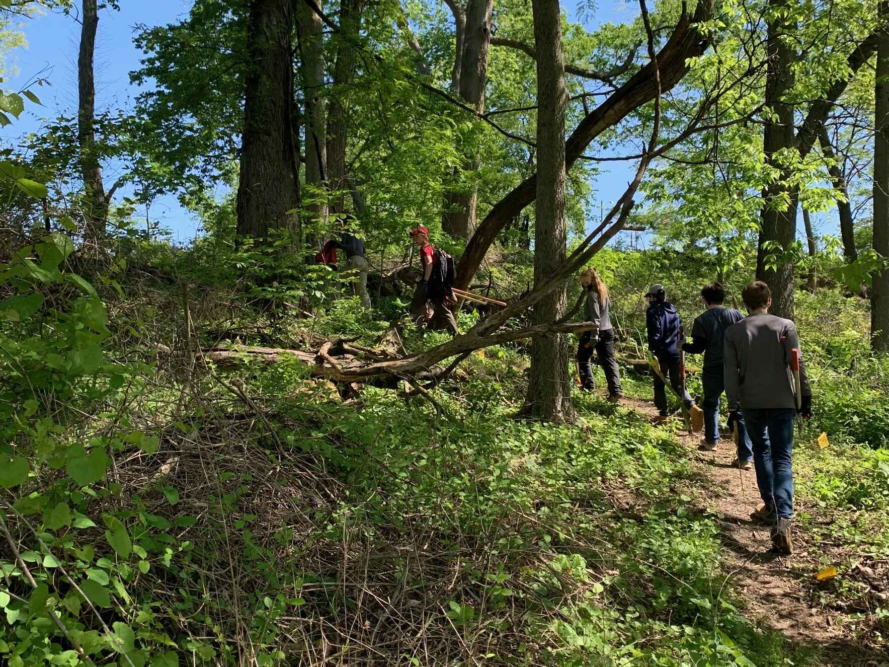 Walnut Woods Workday - April 13, 2024 image