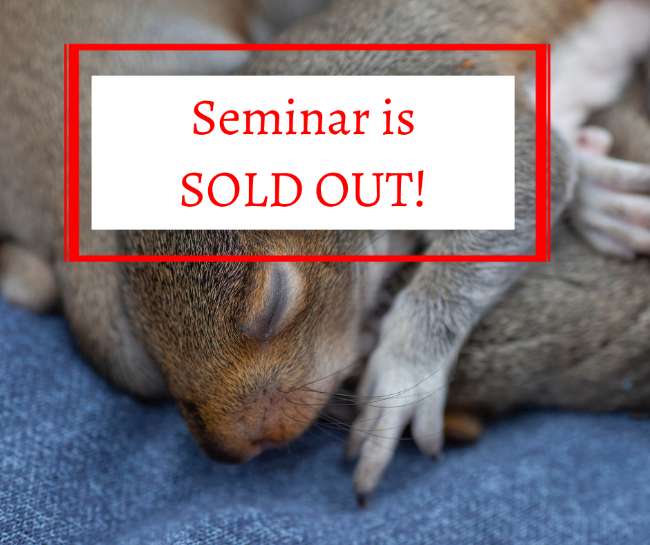 Connecticut Wildlife Rehabilitation Seminar 2024 image