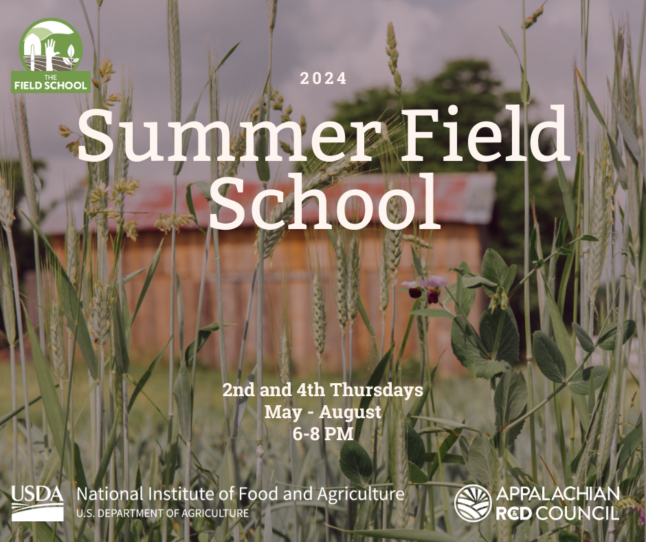 Summer Field School 2024 image