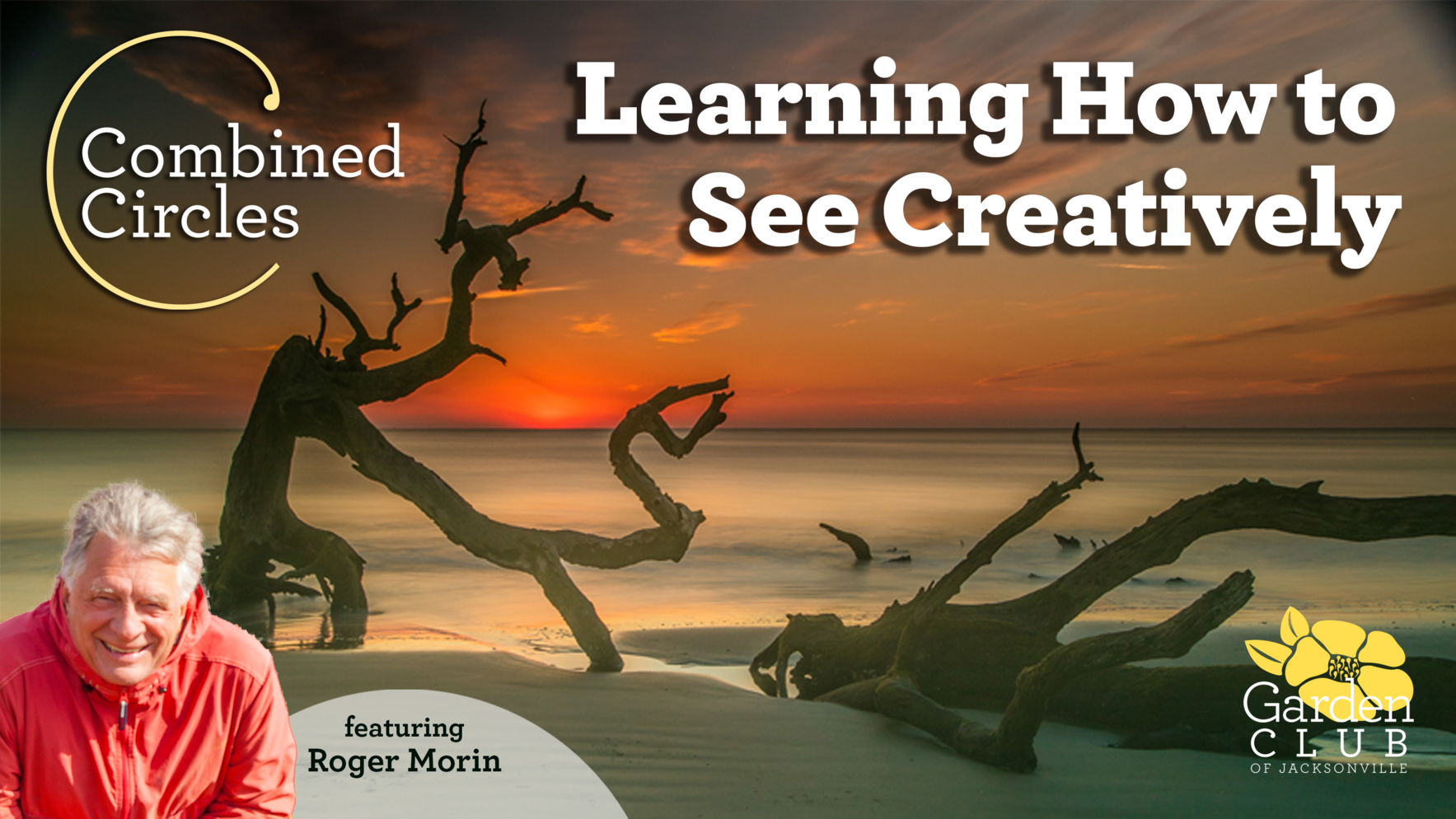 Combined Circles: Learning How to See Creatively image