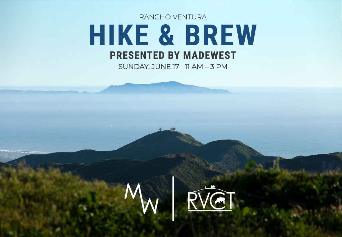 Hike & Brew Presented by MadeWest image