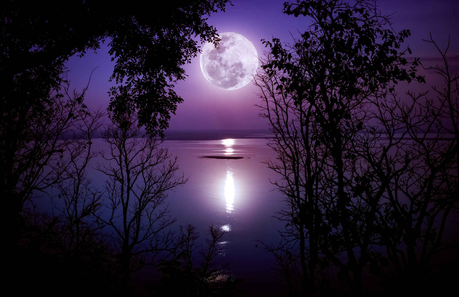 Moonrise on the Wakulla image