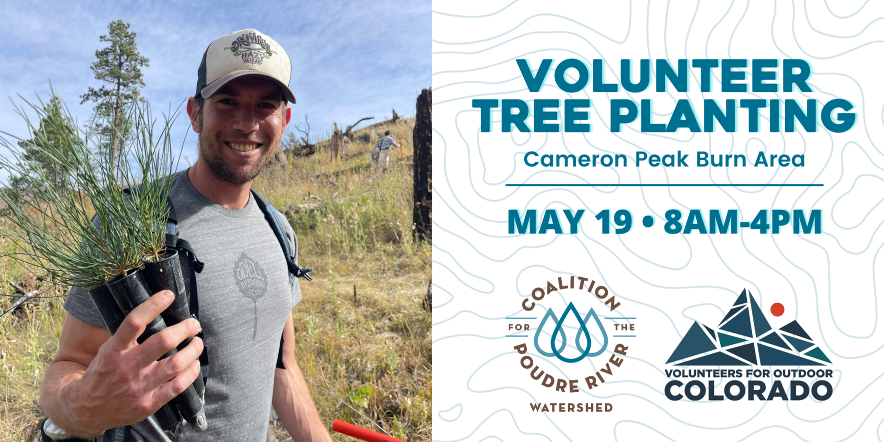 Tree Planting in the Cameron Peak Burn Area image