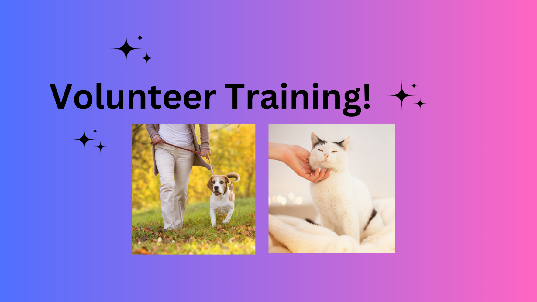 August 14 Volunteer Training image