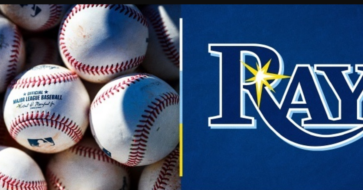 HERNANDO COUNTY EDUCATION DIRECT SUPPORT ORGANIZATION INC - Rays Day