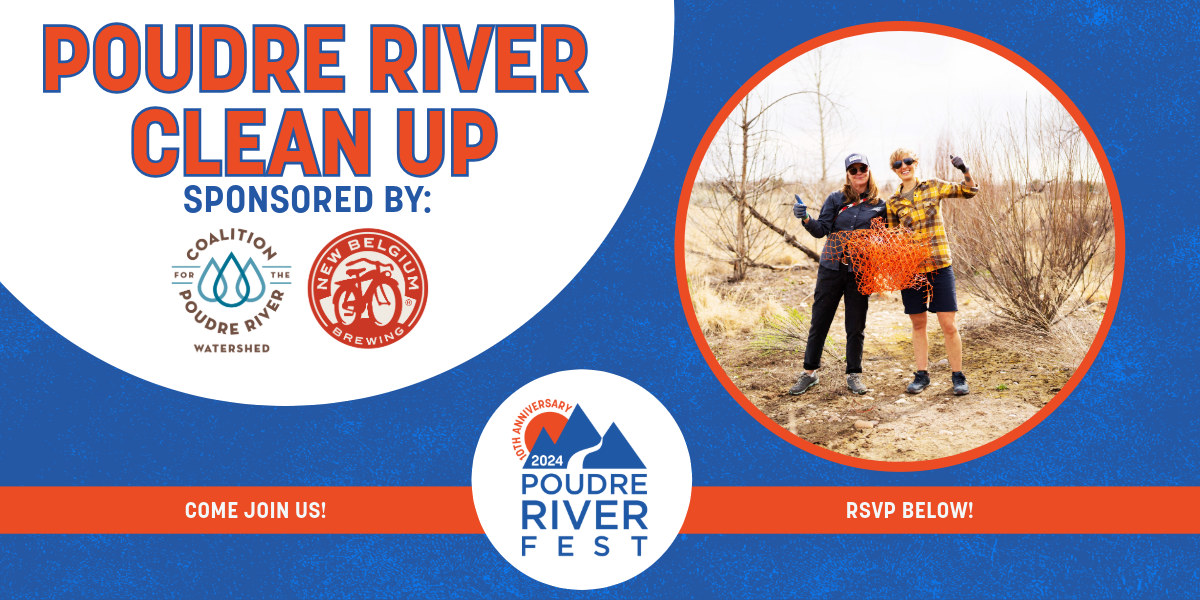 River Cleanup Celebrating the Poudre RiverFest! image